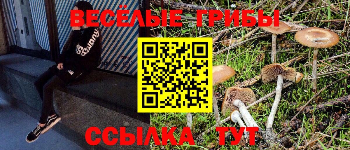 Псилоцибиновые грибы ЛСД Белгород