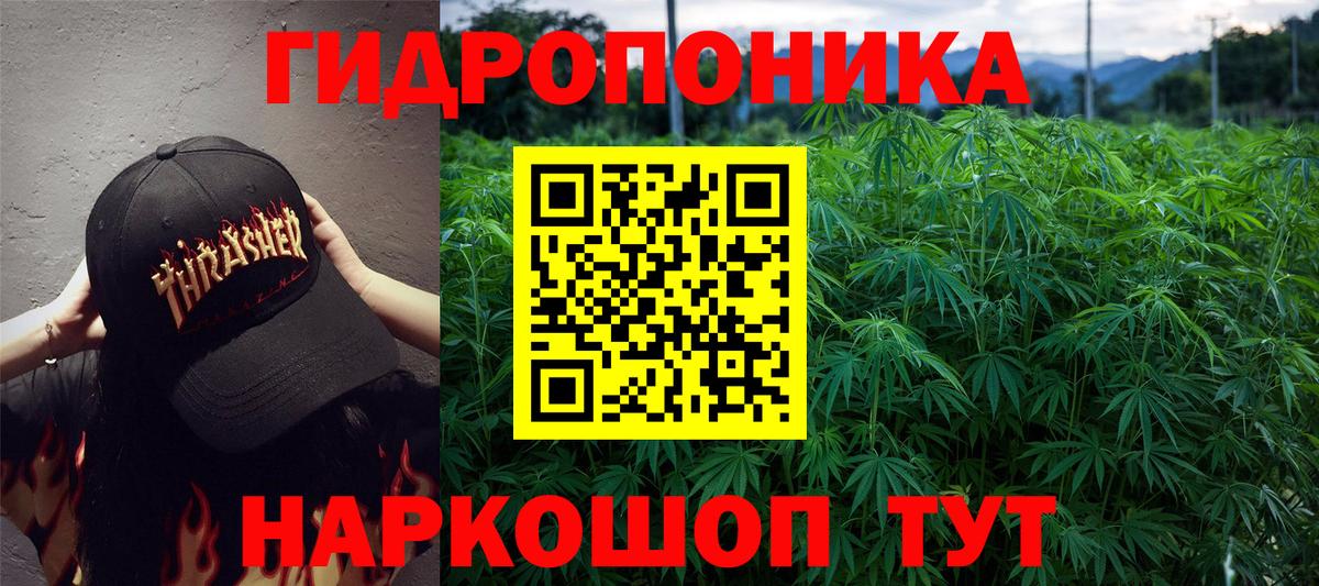 МАРИХУАНА ГИДРОПОН  Каннабис тримм  Вход с VPN  Бошки марихуана планчик  Белгород 